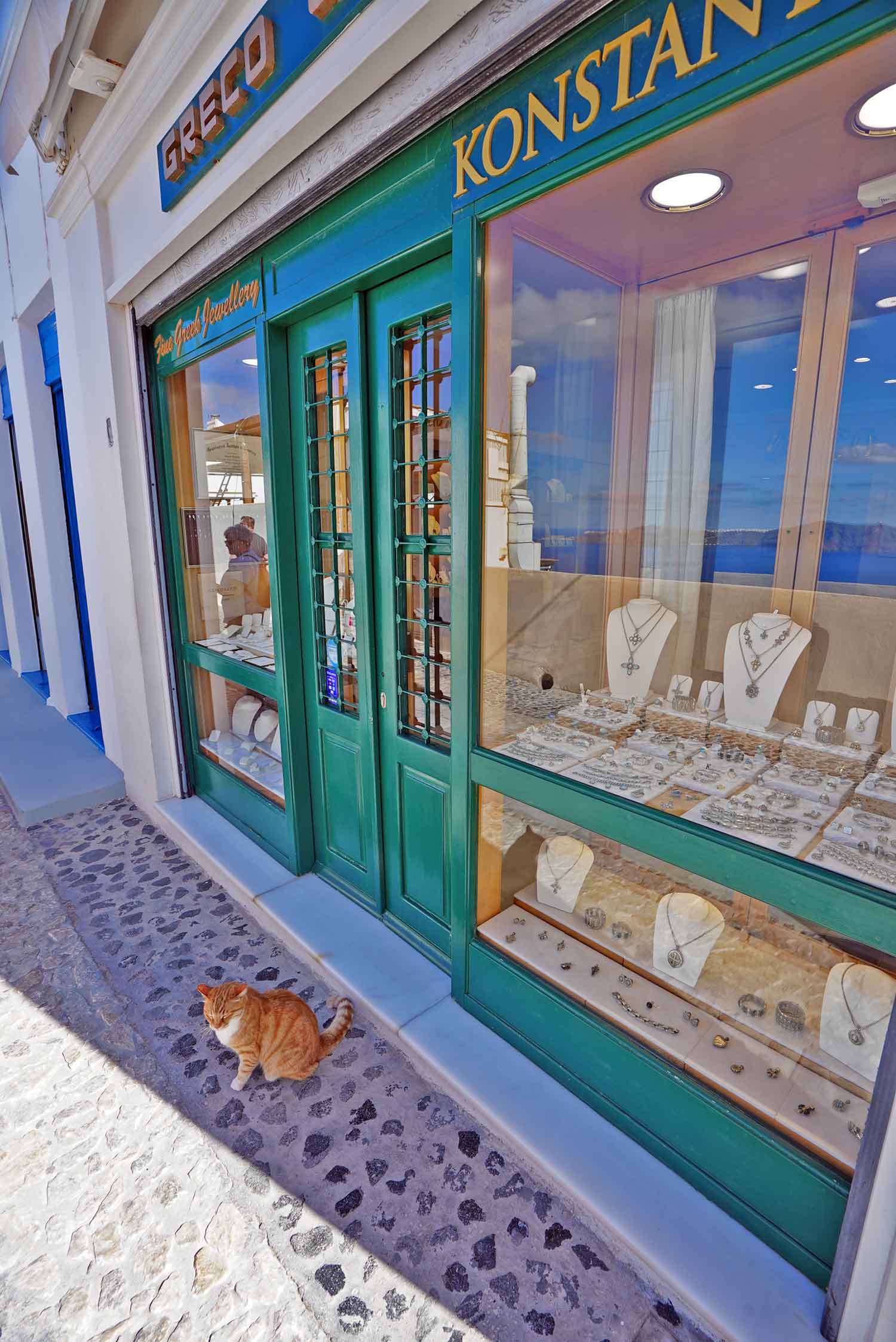 stray cats in greece 