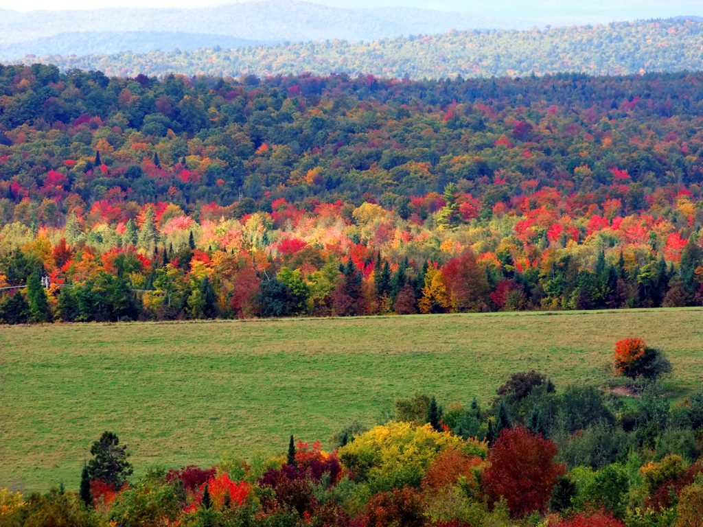 small town maine means less people more wildlife
